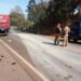 Celular de caminhoneiro morto em acidente é furtado e ladrão pede dinheiro à família por aparelho
