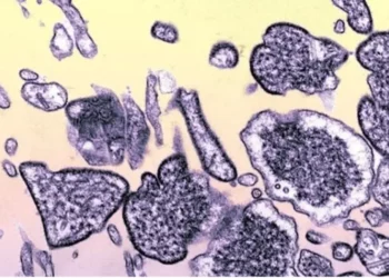 China alerta para a identificação de um novo vírus em humanos
