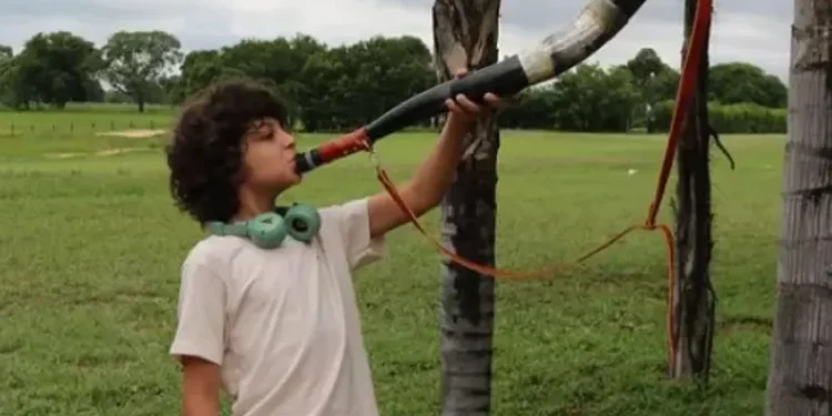 Gustavo na primeira fase de Pantanal
