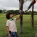 Ator da primeira fase de Pantanal chora ao saber da morte de amigo após atropelamento