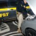 PRF recupera em Jacarezinho Toyota Corolla roubado