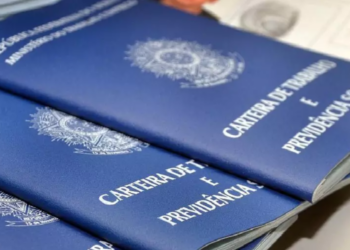 Paraná é o 3º estado com mais empregados com carteira assinada no setor privado