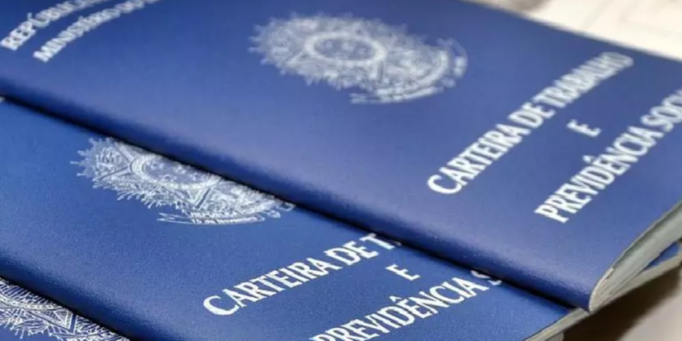 Com 32,2%, Paraná tem uma das menores taxas de informalidade do país. (Foto: Arquivo / Agência Brasil)