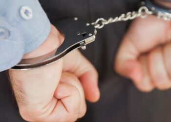 Casal é suspeito de abusar sexualmente do próprio cachorro durante 8 anos