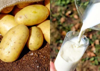 Batata, cebola e leite têm maiores altas do semestre nos supermercados