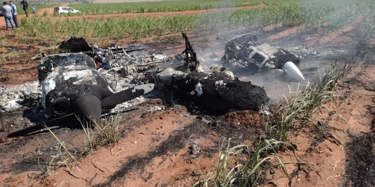 Foto: (Polícia Militar Ambiental)