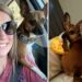 Enfermeira adota cão de paciente em estado terminal e ganha prêmio pela atitude