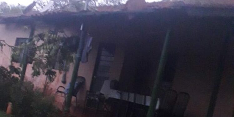 Casal de idosos fica trancado após chuva derrubar 30 árvores ao redor de casa = (Foto: Defesa Civil)