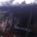 Chuva derruba 30 árvores ao redor de casa e deixa idosos trancados, no PR