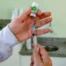 Baixa procura faz Paraná jogar 6,5 mil doses de vacina contra meningite no lixo