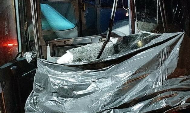 Homem morre após carro bater de frente com ônibus na BR-369, em Andirá — Foto: Divulgação/PRF
