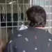 Homem quebra urna a pauladas e é detido em Goiânia; vídeo
