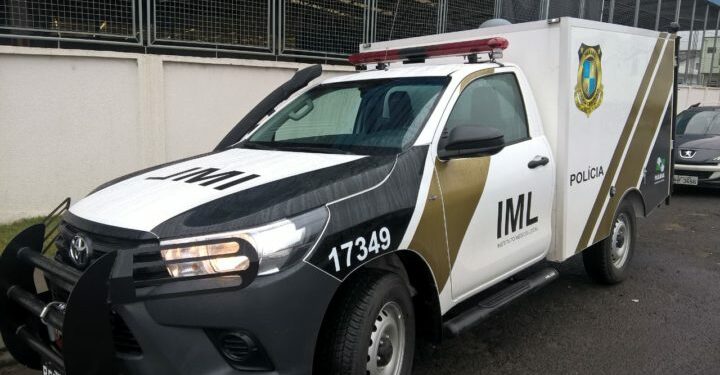 Divulgação