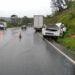 Paraná: Criança de 2 anos morre em acidente com caminhão na BR-277; família fica ferida