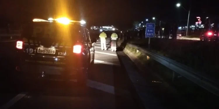 Atropelamento aconteceu no perímetro urbano de Imbaú (Foto: PRF)