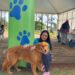Mais de 1.400 animais devem ser atendidos nesta semana pelo CastraPet Paraná