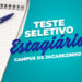 Campus de Jacarezinho divulga Teste Seletivo para estagiários