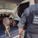 PCPR mira organização criminosa que realizava contrabando na fronteira com o Paraguai