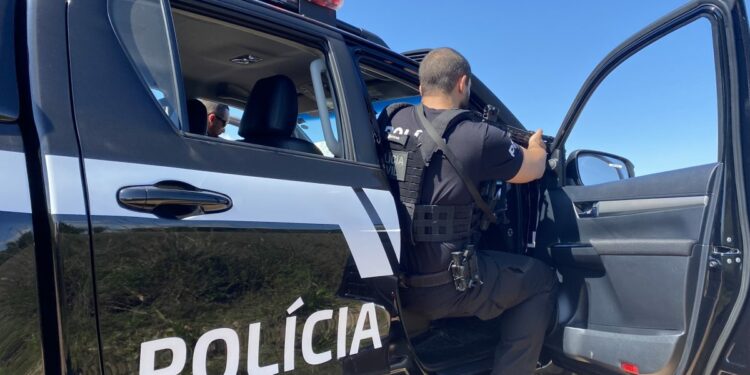 Foto: Ilustração/ Beatriz Jarzinski/PCPR