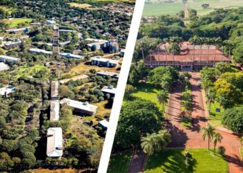 UEM e UENP conquistam Selo ODS Educação com boas práticas acadêmicas sustentáveis