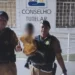 Criança de 3 anos é encontrada sozinha em apartamento após se pendurar em tela de proteção