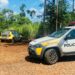Homem carbonizado é encontrado em meio a canavial no Paraná