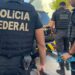 Cornélio Procópio: MPPR e PF prendem alvo da ação em flagrante por pornografia infantil