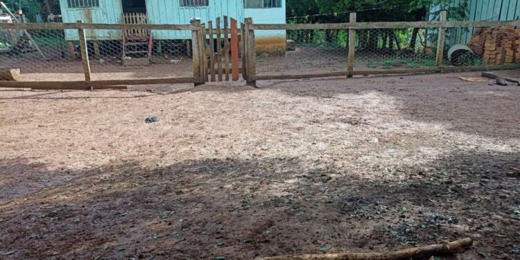 Tio foi cobrar dívida do sobrinho, que o matou a paulada, mas foi preso logo em seguida. (Foto: Divulgação / Polícia Civil)
