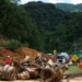 Diminui para 14 pessoas envolvidas em deslizamento na BR-376, diz gabinete de crise