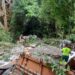 Carreta cai no viaduto do Ubá entre Santo Antônio e Jacarezinho