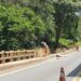 Reconstrução de mureta de proteção na Ponte do Ubá deixa trânsito lento na BR-153