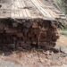 Chuvas causam transtorno na zona rural em Jacarezinho
