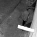 Polícia Civil identifica e prende autor de roubo em Santo Antônio da Platina