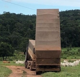 Divulgação