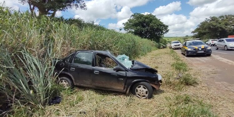 Foto: Antônio de Picolli