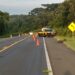 Jovem morre em acidente na BR-277 no Paraná e motorista é preso por embriaguez