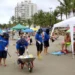 Banhistas jogam quase 10 toneladas de lixo por dia nas areias do litoral