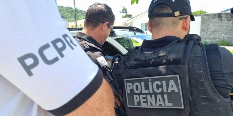 (Foto: Divulgação/PCPR)