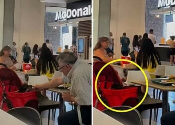 Idoso é flagrado alimentando cão com paralisia em shopping e vídeo emociona