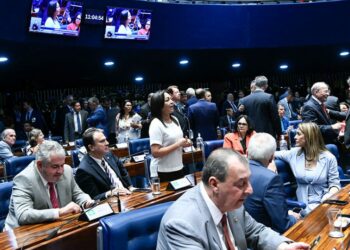 Bancada feminina espera avanços na nova legislatura