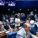 Bancada feminina espera avanços na nova legislatura