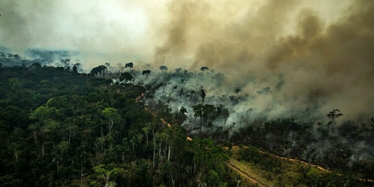 Eventos extremos, como queimadas fora de época, podem ser efeito de mudanças climáticas - Victor Moriyama/Greenpeace