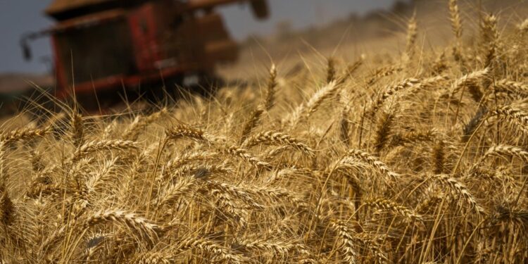 Imagem ilustrativa de uma máquina colheitadeira. (Foto: Divulgação / Confederação da Agricultura e Pecuária do Brasil)