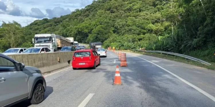 (Foto: Ilustração / DER-PR)