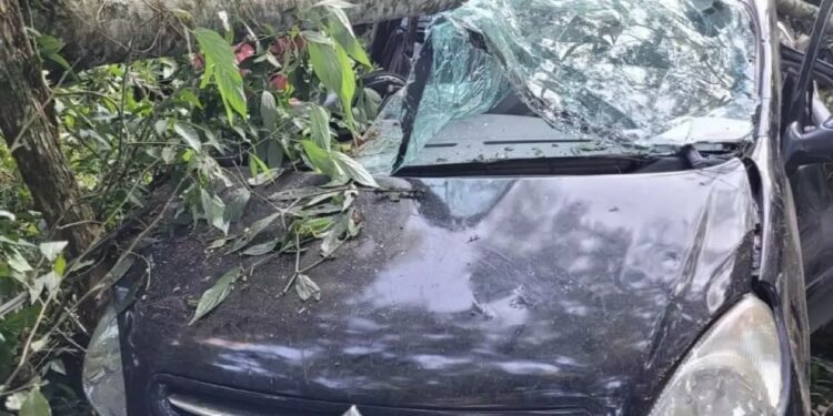 Carro ficou destruído após despencar por cerca de 30 metros (Foto: PRF)