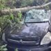 Paraná: Homem fica gravemente ferido após carro cair em barranco na BR-373