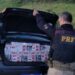 Ribeirão do Pinhal: PRF apreende veículo carregado com cigarros do Paraguai