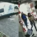 Cadela perdida anda mais de 13 km até achar pet shop onde foi adotada; veja vídeo