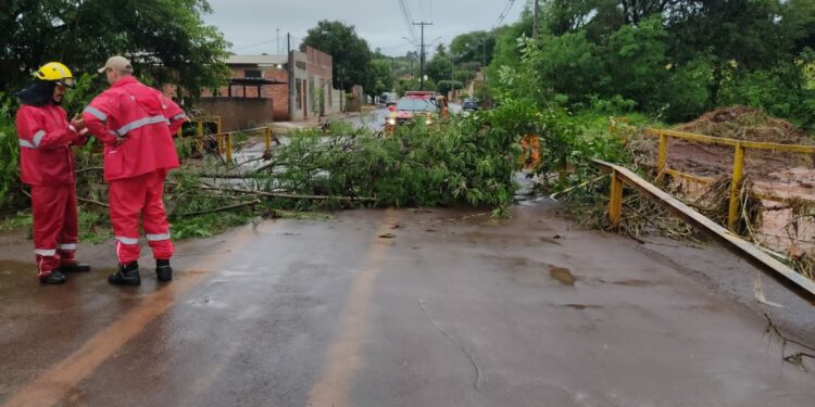 Divulgação/Prefeitura de Bandeirantes