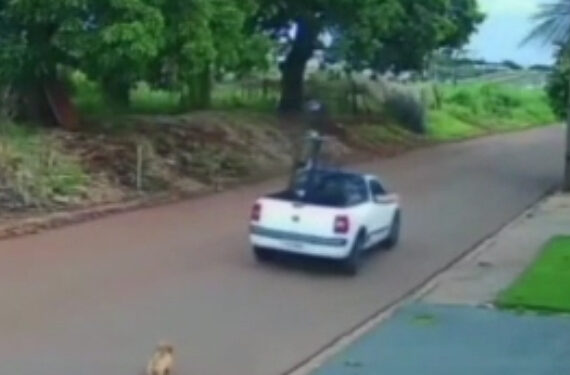TRISTE: Cachorro corre atrás do carro do dono após ser abandonado (Vídeo: Reprodução/Redes Sociais)